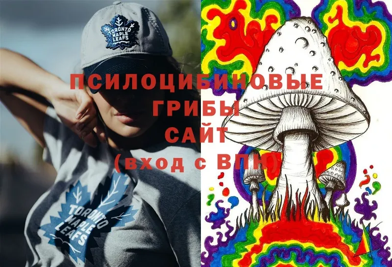 маркетплейс формула  Короча  Галлюциногенные грибы Psilocybe 